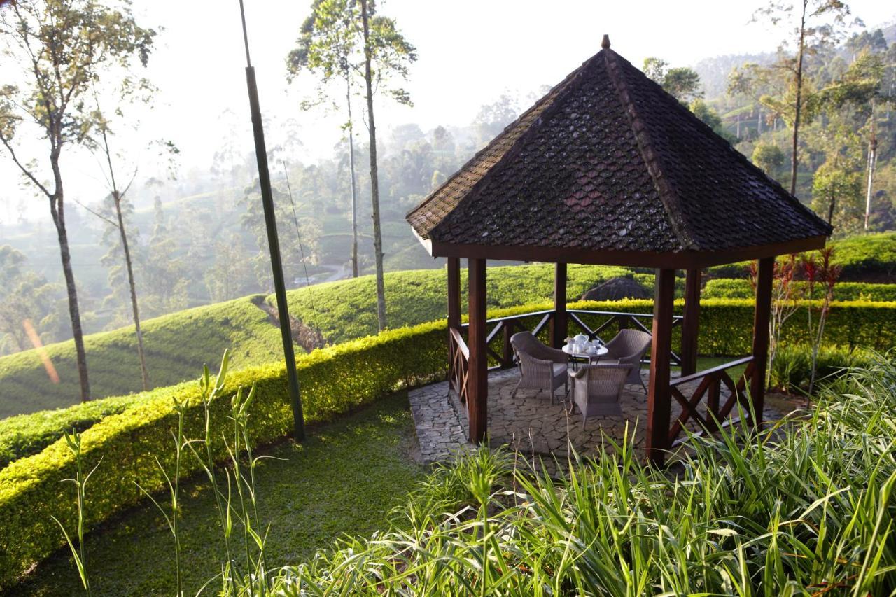 Ceylon Tea Trails - Relais And Chateaux Hatton Eksteriør billede