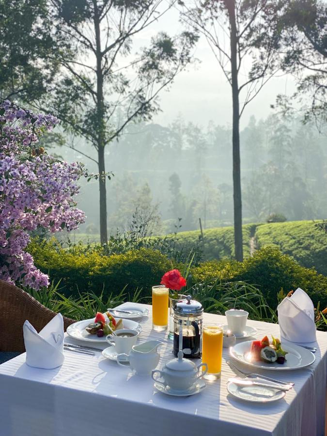 Ceylon Tea Trails - Relais And Chateaux Hatton Eksteriør billede